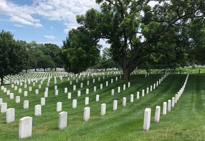 Panoramic view of cemetery