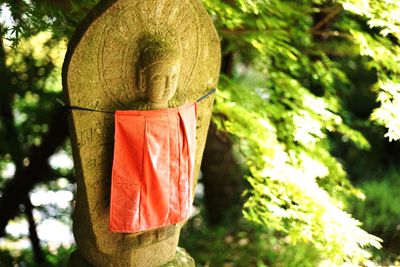 Close-up of sculpture hanging on tree trunk