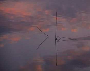 Silhouette cranes against sky at sunset