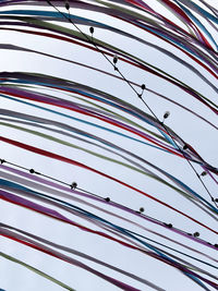 Full frame shot of cables