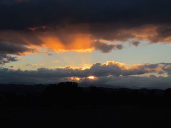 Silhouette trees on field against sky at sunset
