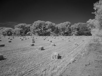 Hay bales on field against clear sky