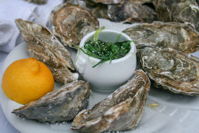 Group of closed oysters with lemon and sea grass in a plate