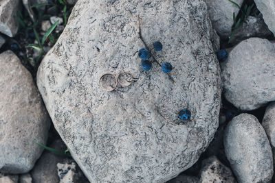 Close-up of rocks