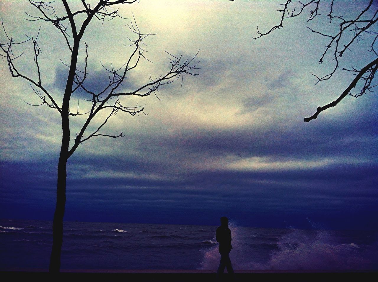 sky, silhouette, water, cloud - sky, tranquility, tranquil scene, bare tree, scenics, cloudy, beauty in nature, nature, tree, lifestyles, sea, leisure activity, horizon over water, weather, cloud