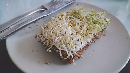 High angle view of salad in plate