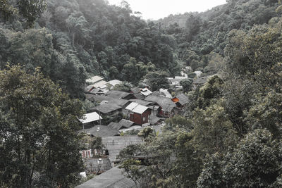 High angle view of trees and houses in village