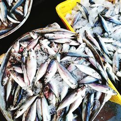 Close-up of fish for sale at market