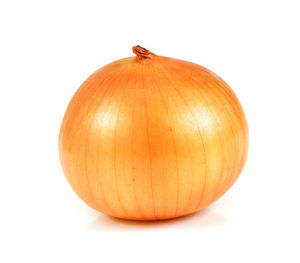 Close-up of pumpkin against white background