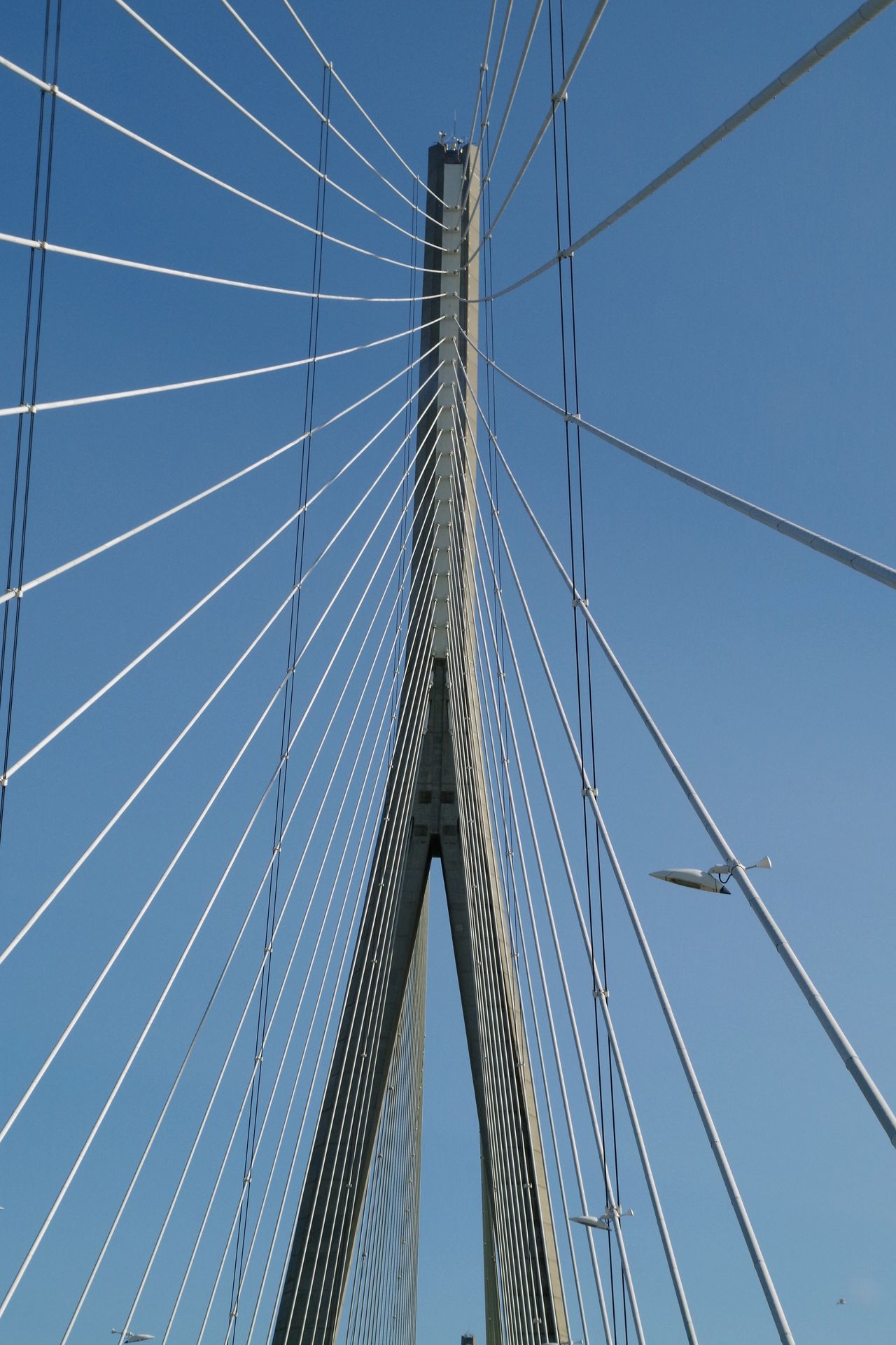 French bridge