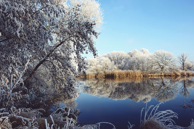 Reflection of trees in lake against sky