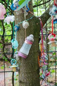 Close-up of decorations hanging on tree trunk in yard