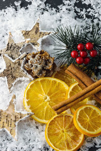 Close-up of dried food on snow