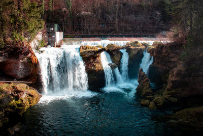 Scenic view of waterfall in forest