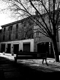 Man standing by bare tree against building