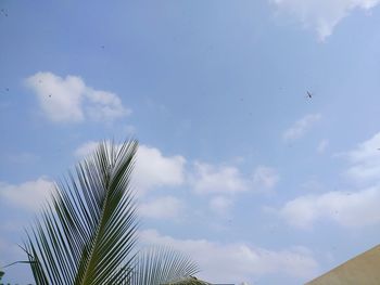 Low angle view of palm tree against sky