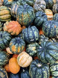 Full frame shot of pumpkins