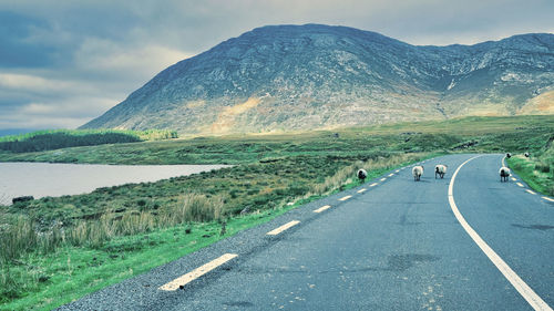 Road amidst field against mountain