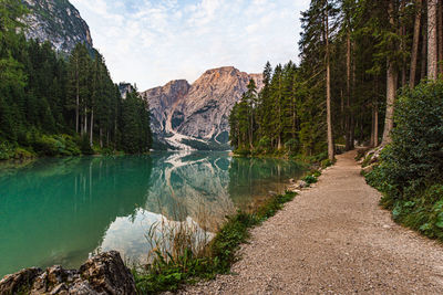 Scenic view of lake amidst trees against sky