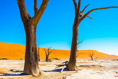 Landscape in namibia