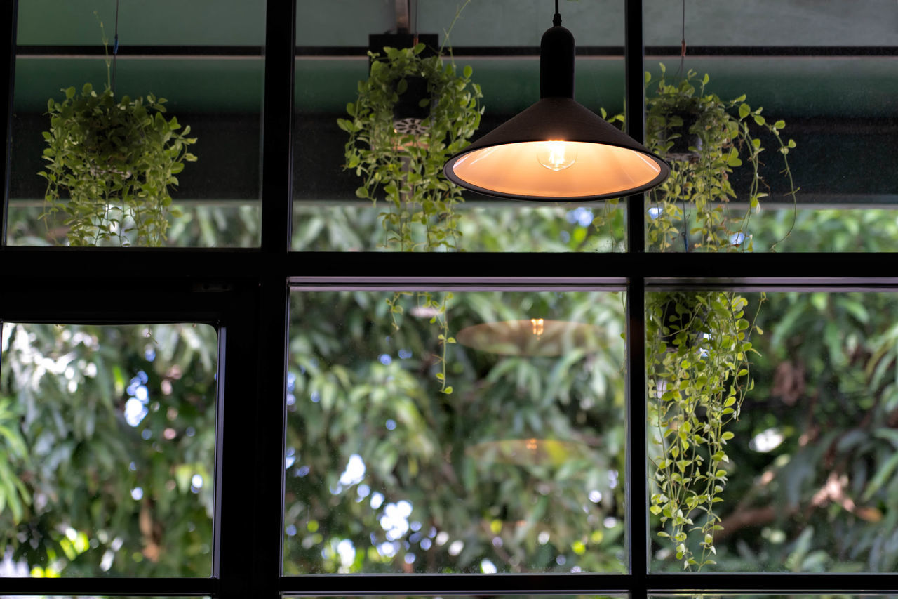 CLOSE-UP OF ILLUMINATED LAMP HANGING ON WINDOW