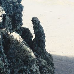 High angle view of rock on beach