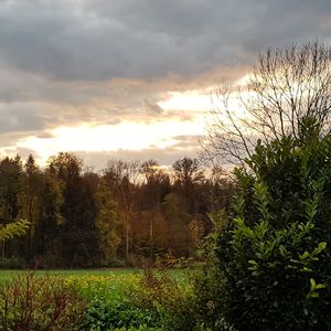 Scenic view of landscape against sky during sunset