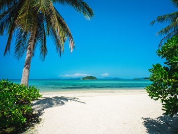 Scenic view of koh mak island white sand beach and turquoise water with coconut palm tree. thailand.