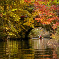 Scenic view of lake by trees during autumn