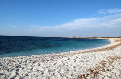 Scenic view of beach