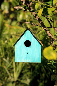 Close-up of birdhouse hanging on tree