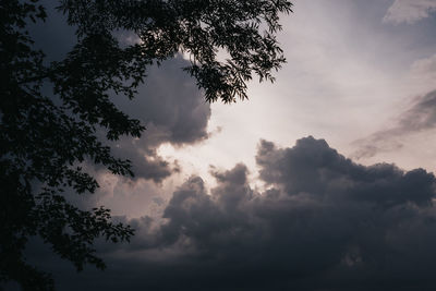 Low angle view of silhouette tree against sky