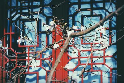 Low angle view of tree against sky