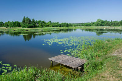 Wooden small bridge with planks at the pond, trees on the horizon and clear blue sky