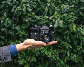 Cropped hand holding camera against plants