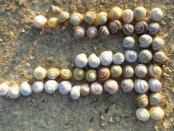 Stack of stones on ground