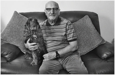 Portrait of dog sitting on sofa at home