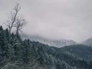 Scenic view of snow covered land against sky