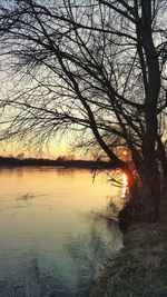 Reflection of trees in lake at sunset