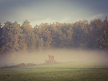 Trees on field against sky during foggy weather