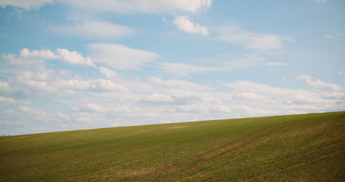 Scenic view of agricultural field against sky