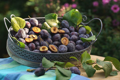 Close-up of fruits growing in container