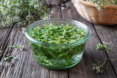 Close-up of plants in bowl on table