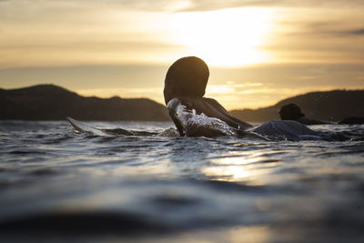 Boy lying on surfboard in sea during sunset