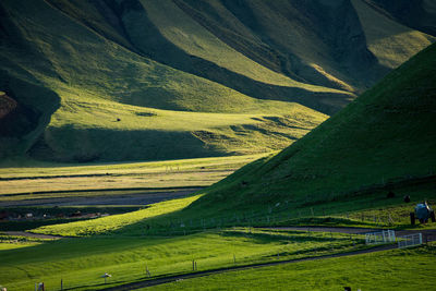 Scenic view of agricultural field