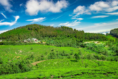 Mountain range with cloud layers and green forest