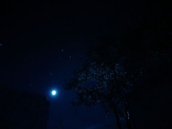 Low angle view of illuminated tree against sky at night