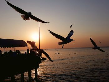 Seagulls flying over sea against sky during sunset