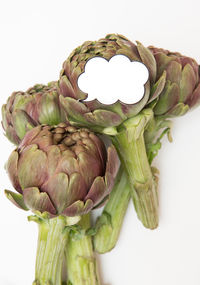 Close-up of vegetable over white background