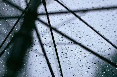 Low angle view of transparent umbrella with raindrops
